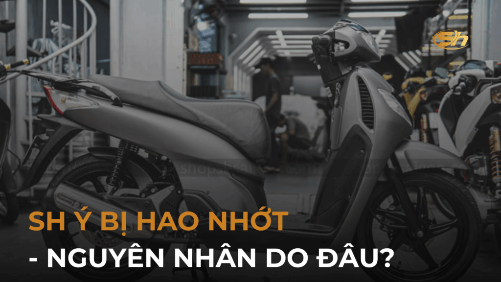 SH Ý BỊ HAO NHỚT - NGUYÊN NHÂN DO ĐÂU? 1