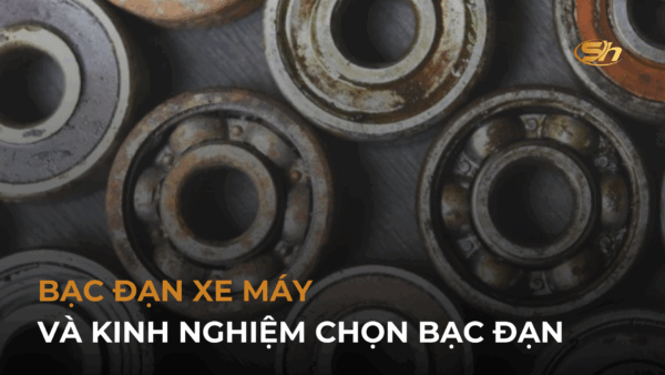 BẠC ĐẠN XE MÁY VÀ KINH NGHIỆM CHỌN BẠC ĐẠN 8